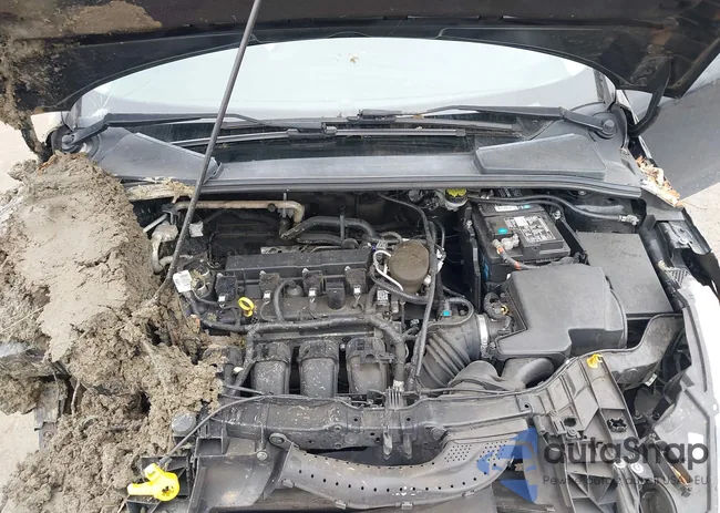 1FADP3E2XGL306419: 44214394