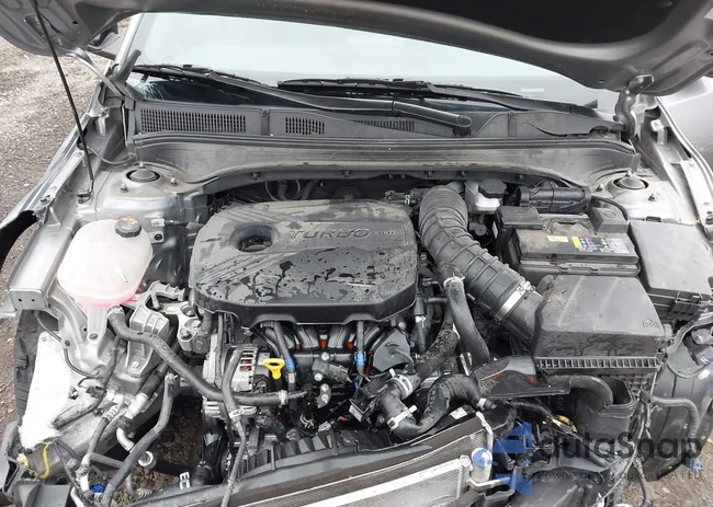 3KPF44AC0PE653931: 44214088