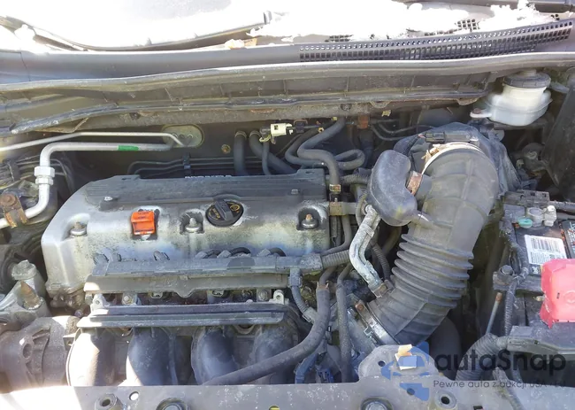 5J6RM4H31CL081623: 44216931