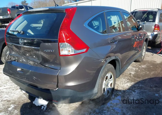 5J6RM4H31CL081623: 44216931