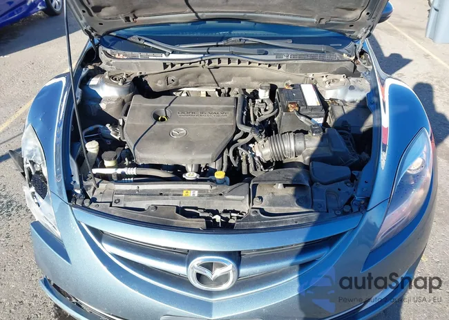 1YVHZ8EH2C5M18437: 44216113