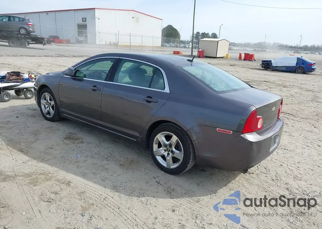 1G1ZC5EB5A4132003: 44216310