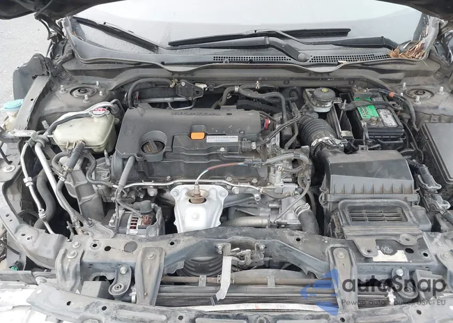 2HGFC2F51GH566224: 44217398