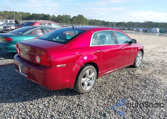 1G1ZD5EB1AF115104: 44217772