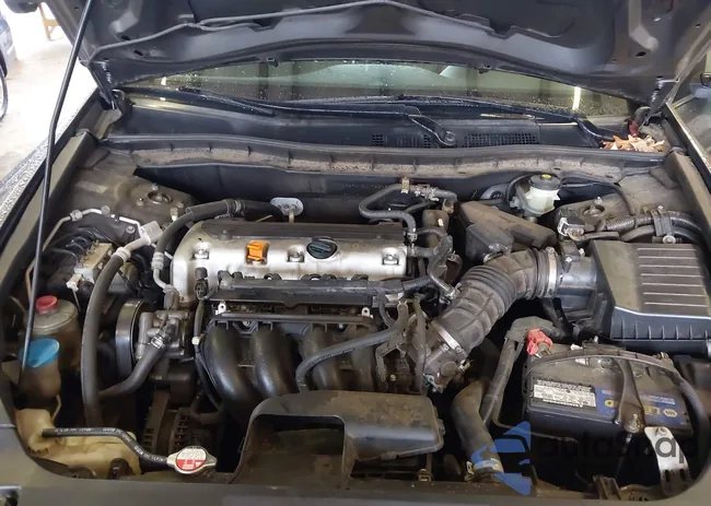 JHMCP26478C072305: 44217887