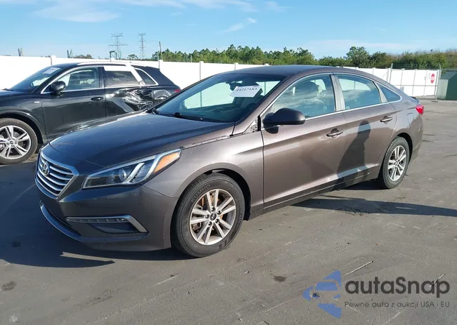 5NPE24AF9FH230898: 44217183