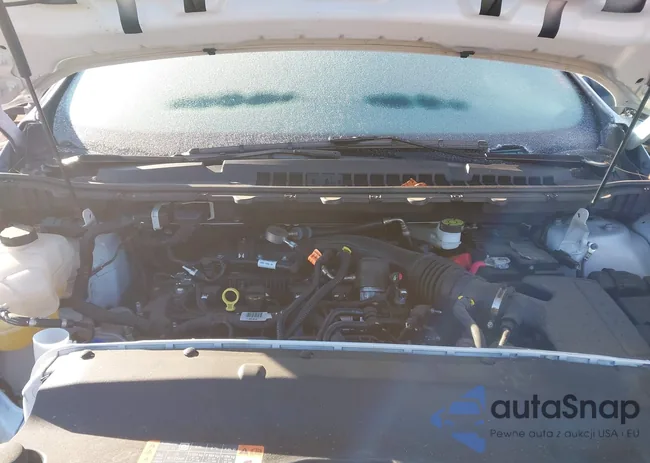 2FMPK4G99PBA39498: 44218409