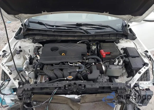 1N4BL4EV3LC100064: 44218509