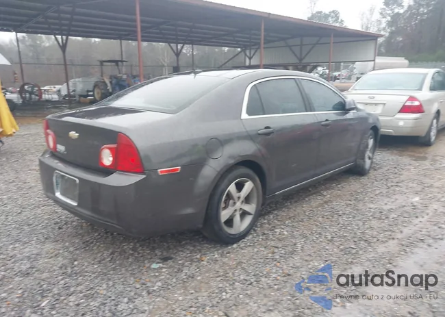 1G1ZC5E10BF241966: 44218783