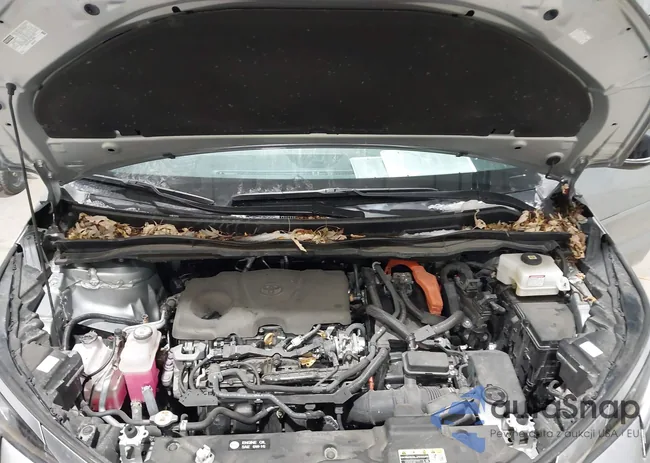 5TDCSKFC4PS083444: 44219798