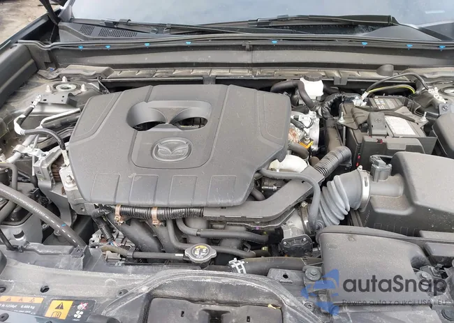 3MVDMBBM2RM637823: 44220507