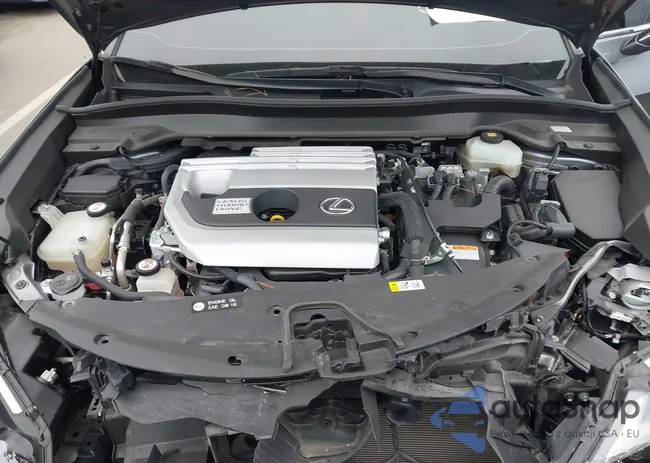 JTHU9JBH4K2002601: 44220558