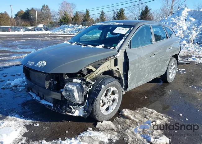 5NMJACDE0RH298782: 44220572