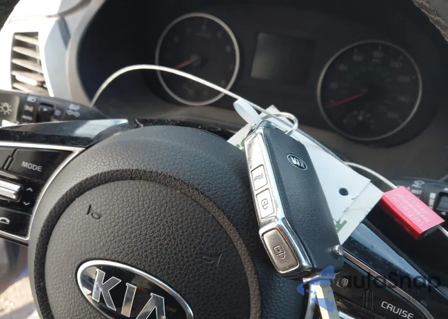 KNDEU2AA0M7172295: 44219982