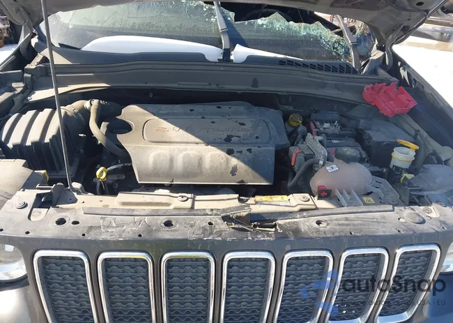 ZACNJABB7LPL85737: 44219990