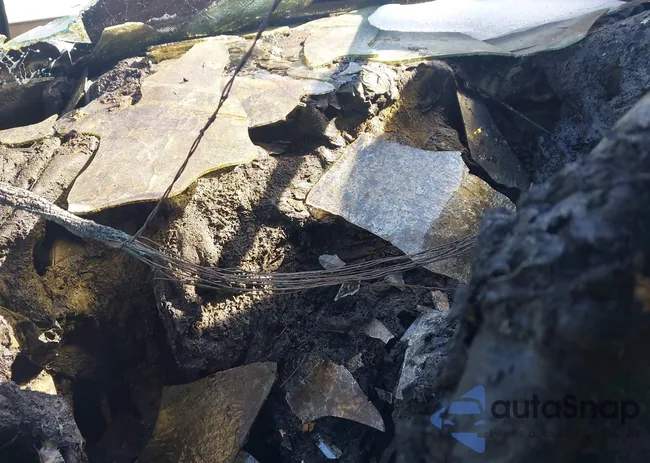 ZACNJABB7LPL85737: 44219990