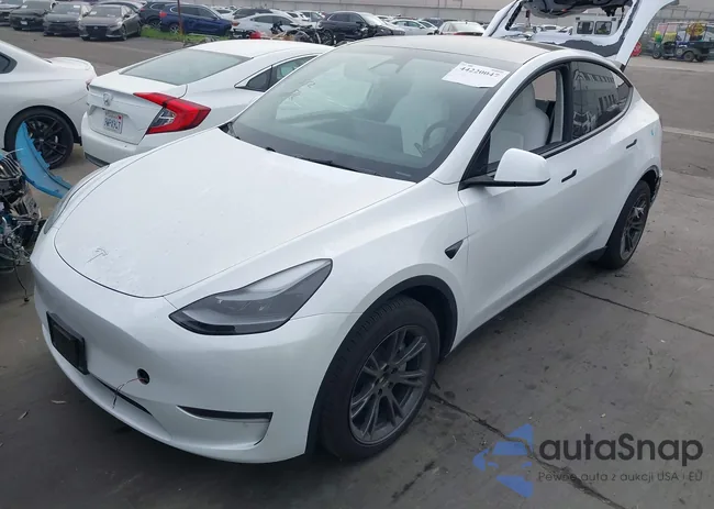 7SAYGDEDXRF168103: 44220047