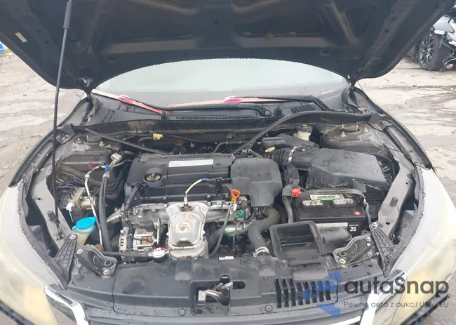 1HGCR2F31DA211175: 44220161