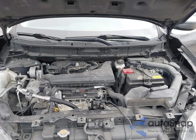 5N1AT2MV6KC716461: 44221385