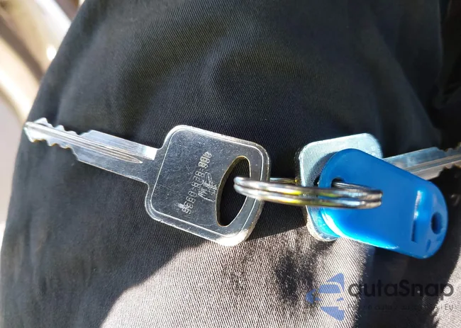 1FBSS3BL3BDB29250: 44221482