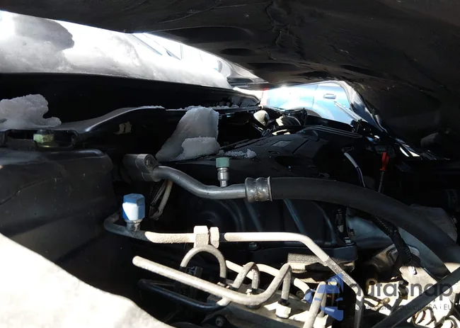 1HGCR2F80HA031820: 44221542