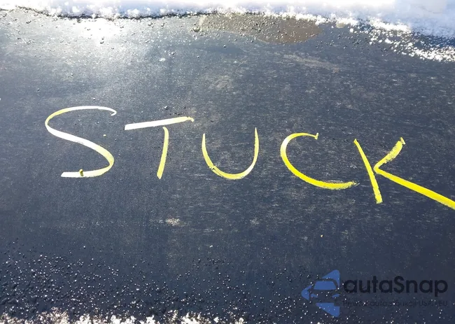 WA1FECF32L1111687: 44222523