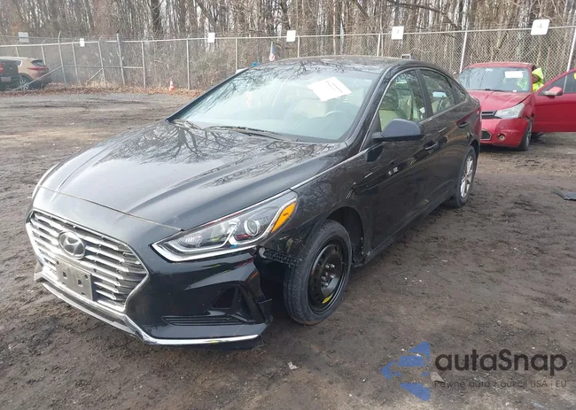 5NPE24AF0KH805979: 44222271