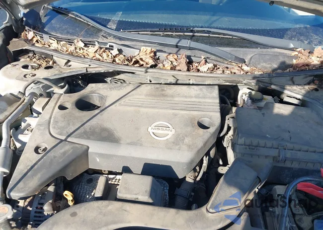 1N4AL3APXDC156341: 44223374