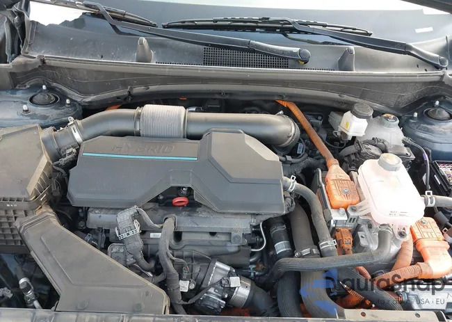 KNDPVCAG9P7014851: 44223578