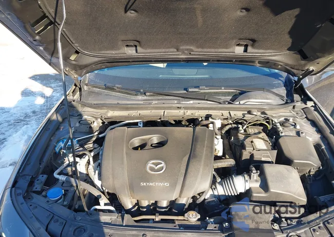 3MZBPBCM7LM132668: 44223797