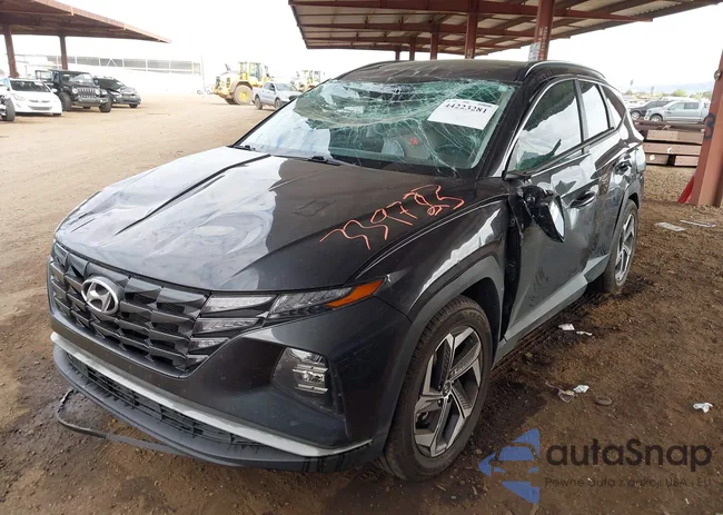 5NMJFCAE9PH168406: 44223281