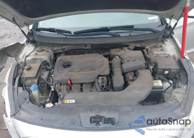 5NPE24AF9GH358284: 44224491