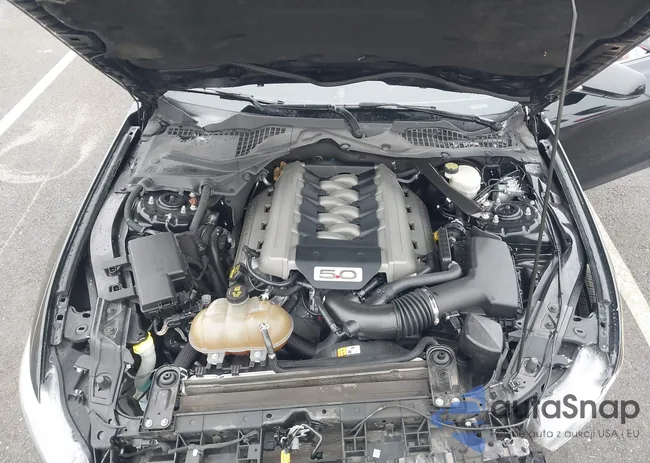 1FA6P8CF7F5396532: 44224779