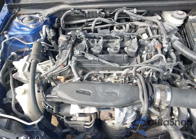 2HGFE1F74NH307665: 44224906