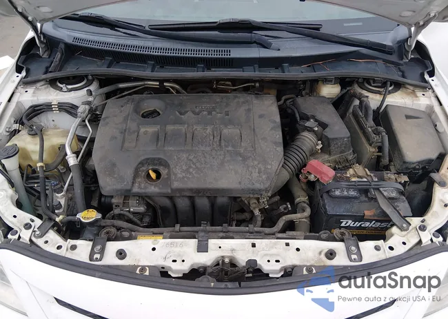 2T1BU4EE2BC591319: 44224007