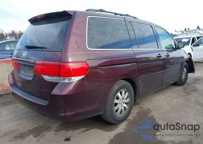 5FNRL3842AB031146: 44224263