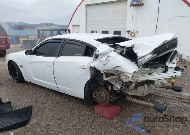 2C3CDXAT9EH367487: 44225455