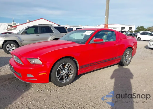 1ZVBP8AMXD5242269: 44225144