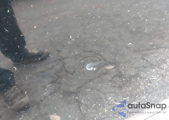 1HGCP3F70CA013913: 44226394