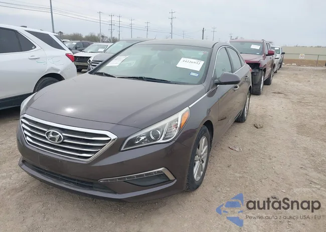 5NPE24AF7FH113529: 44226932