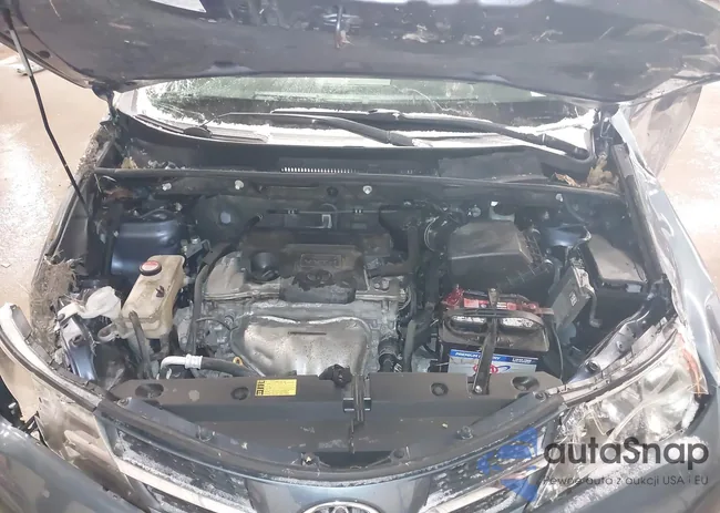 JTMBFREV7ED087461: 44226052