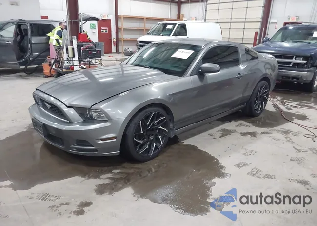 1ZVBP8AM2E5201331: 44226100