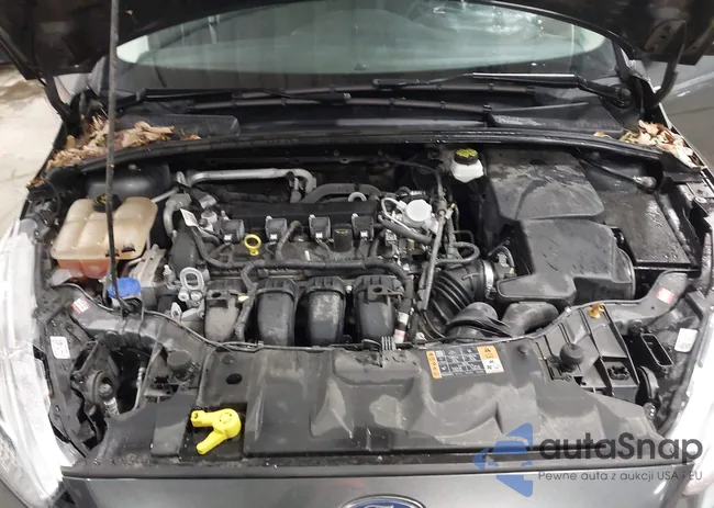 1FADP3F25JL321982: 44226280