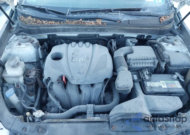 5NPEC4AC6DH568999: 44227291