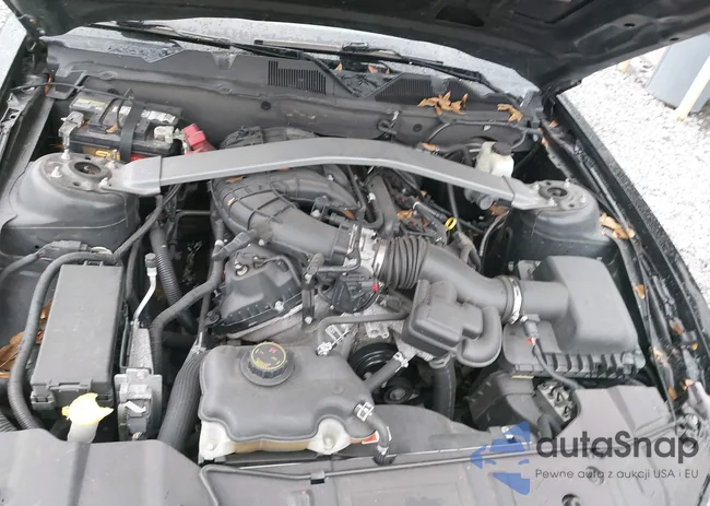 1ZVBP8EM9E5303414: 44228438