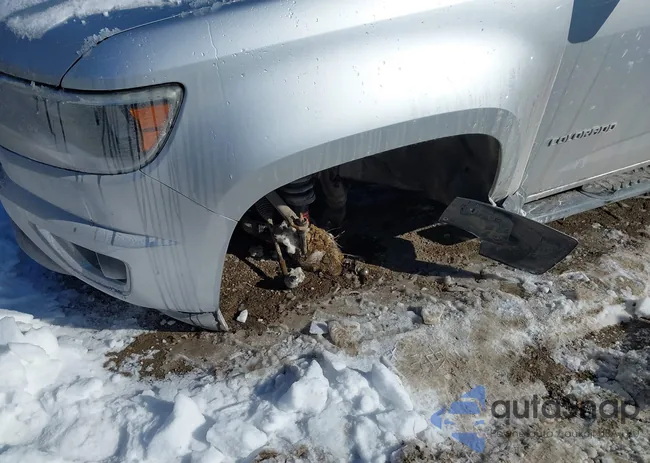 1GCGTCE36G1111215: 44228551