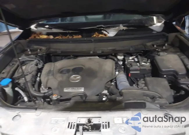 JM3TCBCYXJ0229392: 44228564