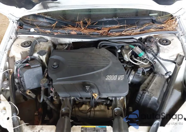 2G1WD5EM5A1187886: 44228282