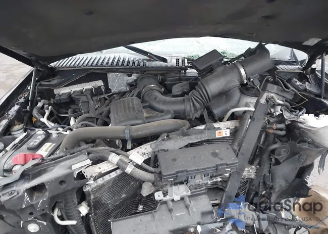 1FMJU2A5XEEF29105: 44229452