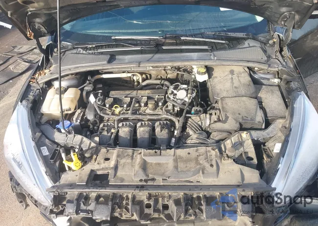 1FADP3F2XHL259392: 44229523